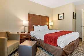 Comfort Inn & Suites Galt - Lodi North