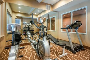 Comfort Inn & Suites Galt - Lodi North