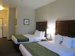 Comfort Inn & Suites Galt - Lodi North
