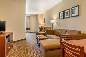 Comfort Inn & Suites Galt - Lodi North