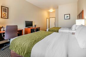Comfort Inn & Suites Galt - Lodi North