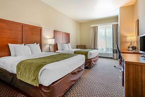 Comfort Inn & Suites Galt - Lodi North