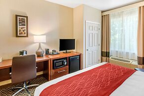 Comfort Inn & Suites Galt - Lodi North
