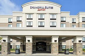 Springhill Suites by Marriott Pittsburgh Mills