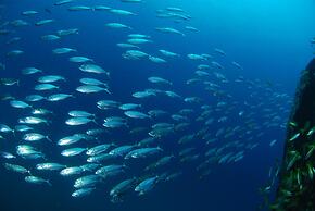 Djibouti Palace Kempinski