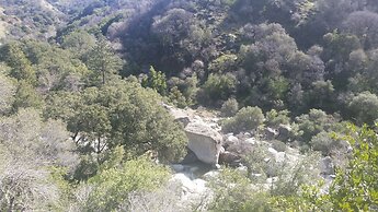 The Parks Inn Bed and Breakfast