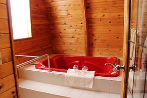 Mineral Springs Resort