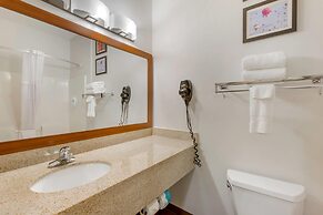 Comfort Inn & Suites Socorro