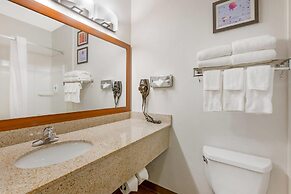 Comfort Inn & Suites Socorro