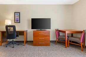 Comfort Inn & Suites Socorro