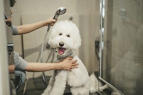 Hyatt Regency Hakone Resort and Spa