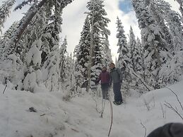 Vagabond Lodge at Kicking Horse Resort