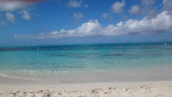 Coral Gardens on Grace Bay