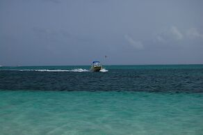 Coral Gardens on Grace Bay