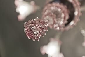 Palazzo Cendon - Le Mansarde