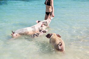 Hermitage Bay - All Inclusive