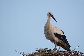 Riad Maison Arabo-Andalouse