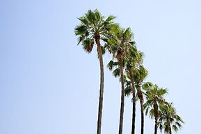 Acanthus Cennet Barut Collection - Ultra All Inclusive