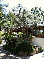 Hotel Parco Maria Terme