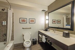 Comfort Inn & Suites Near Universal - N. Hollywood - Burbank