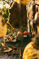 Meliá Desert Palm Member of Meliá Collection