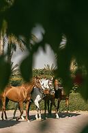 Meliá Desert Palm Member of Meliá Collection