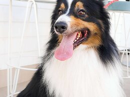 Hotel Novotel Monte Carlo