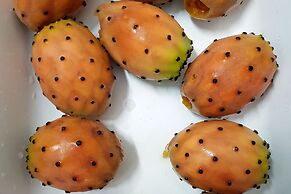 Cambiocavallo Unesco Area & Resort