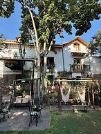 ARQUEOLOGO EXCLUSIVE SELECTION - Casa Peralta