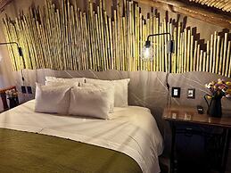 ARQUEOLOGO EXCLUSIVE SELECTION - Casa Peralta