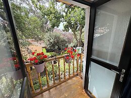 ARQUEOLOGO EXCLUSIVE SELECTION - Casa Peralta