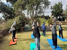 ARQUEOLOGO EXCLUSIVE SELECTION - Casa Peralta