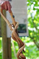 Landgasthof Hotel Hirsch