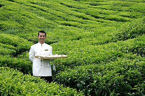 Cameron Highlands Resort