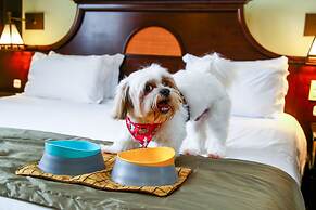 Transamerica Executive Curitiba Batel