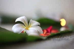 MUKDARA BEACH VILLA & SPA RESORT