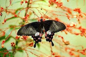 Phuket Marriott Resort & Spa, Merlin Beach