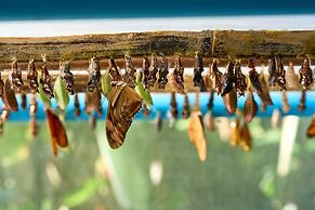 Phuket Marriott Resort & Spa, Merlin Beach