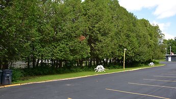 The Village Motel