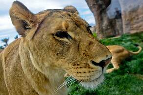 Holiday Inn El Paso Airport by IHG