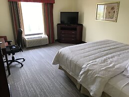 Hampton Inn & Suites Lamar