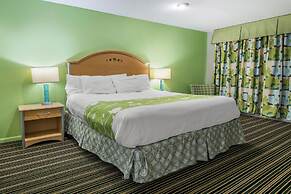 Rodeway Inn & Suites Winter Haven Chain Of Lakes