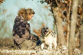 Domaine de Saint-Géry