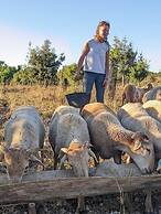 Domaine de Saint-Géry