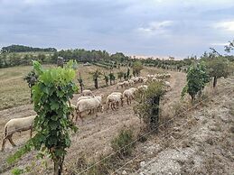 Domaine de Saint-Géry