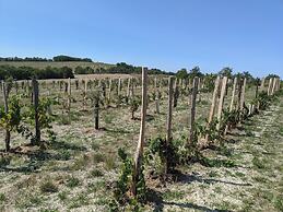 Domaine de Saint-Géry