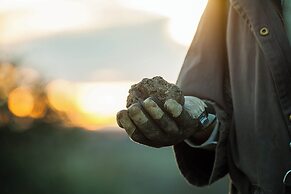 Domaine de Saint-Géry