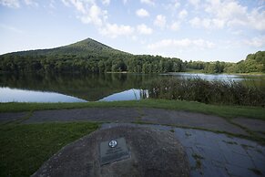 Peaks of Otter Lodge