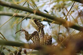 Hotel Vista del Cerro