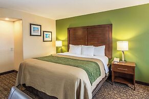 Comfort Inn & Suites Panama City North